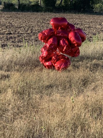 A set of balloons fell onto a Texas farm Sept. 19.