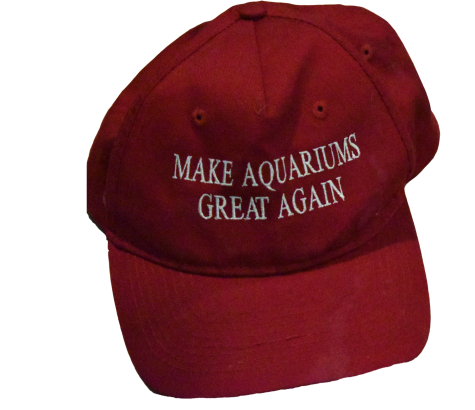 This hat is a spoof of hats politicians use as merchandise.