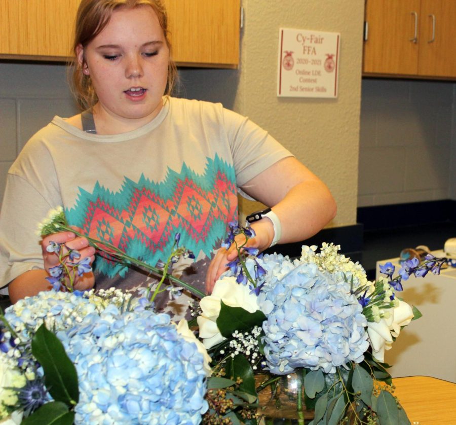 Sophomore Hannah Haviland arranges flowers for prom during her advanced floral design class Thursday.