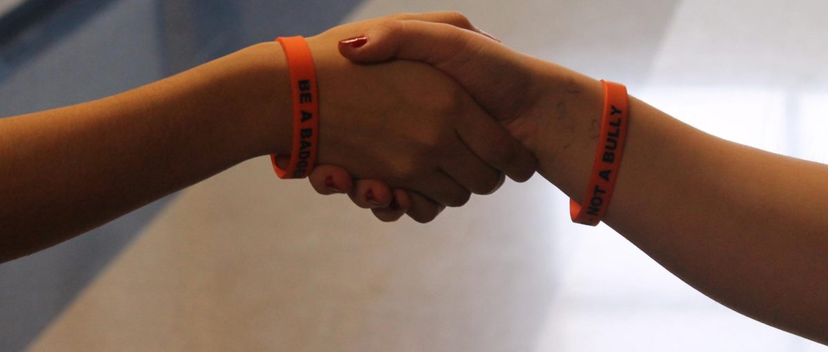 The committee has taken action by handing out “Be a Badger -- Not a Bully” bracelets to students and also started a video campaign for Character Wednesdays.