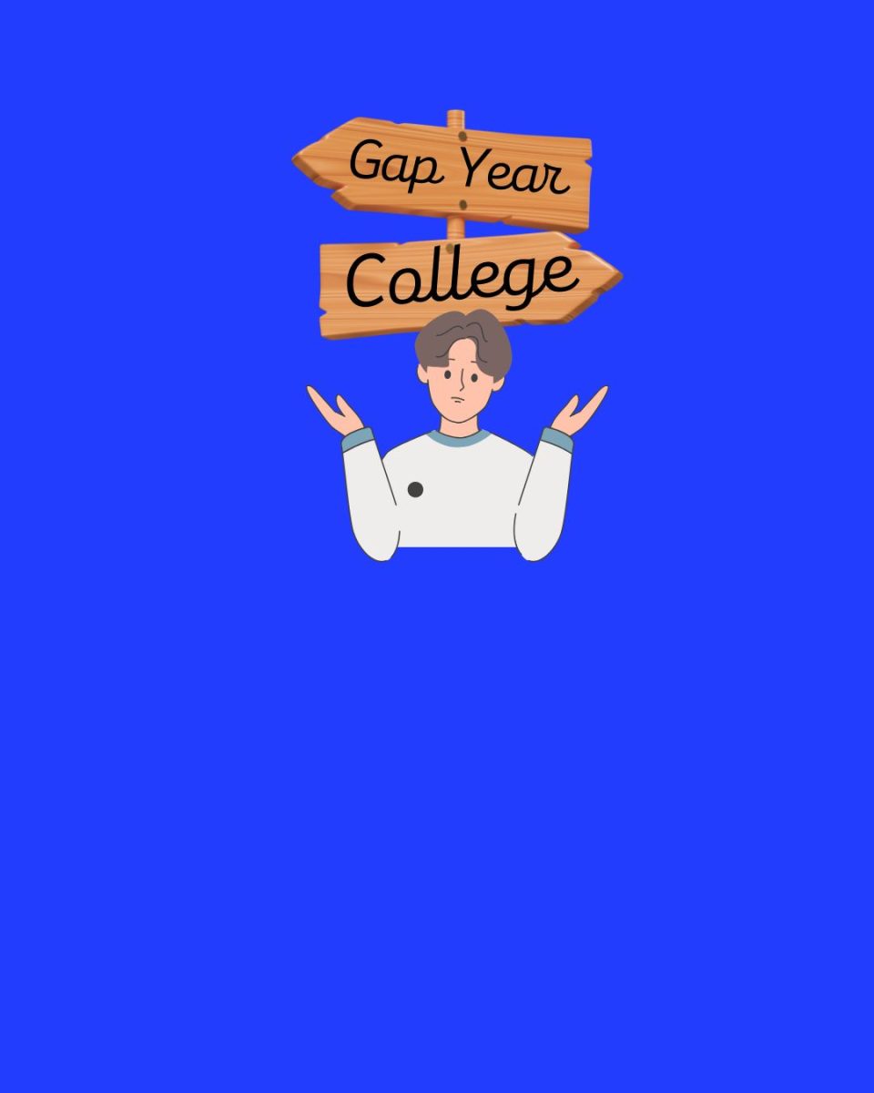 Many students question if they should or should not take a gap yar after graduation. 
