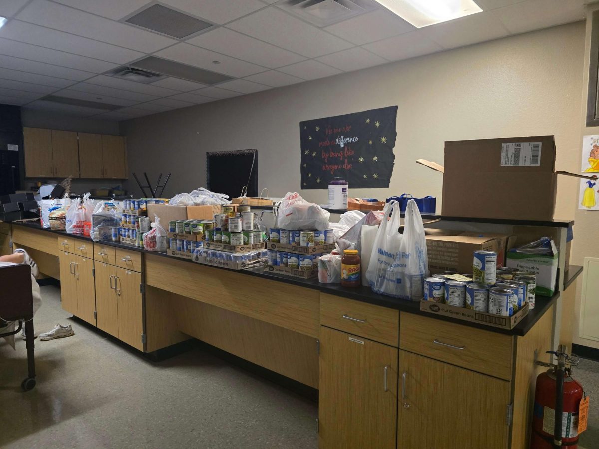 A photo of all the food donated to the Lampasas Mission.