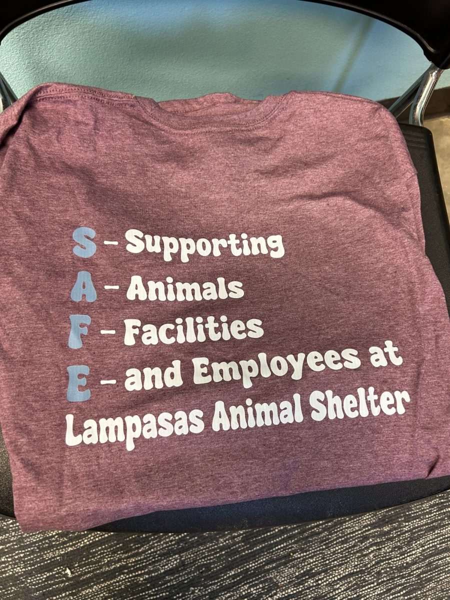 A shirt displaying what SAFE stands for.